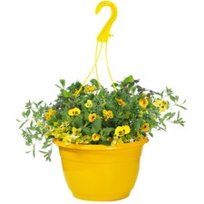 Outdoor yellow shades for sale  UK