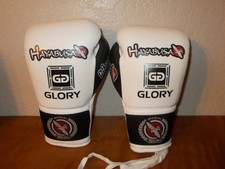 Hayabusa glory 10oz for sale  Casselberry