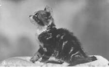 Cats mk197 hairy d'occasion  Expédié en Belgium