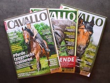 Cavallo 2017 pferde gebraucht kaufen  Katlenburg-Lindau