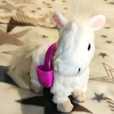 Pony körbchen laufen gebraucht kaufen  Osnabrück