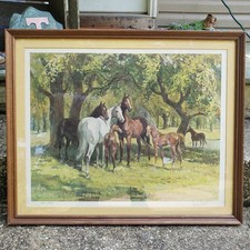 Sam savitt summertime for sale  Hopewell