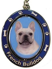 French bulldog spinning for sale  Saint Johns