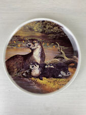 Otter plate bone for sale  SUNDERLAND