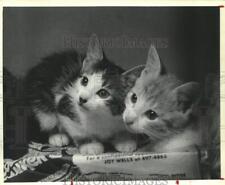 1981 press photo for sale  Memphis