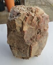 Verkieseltes holz 6kg gebraucht kaufen  Berg b.Neumarkt i.d.OPf.