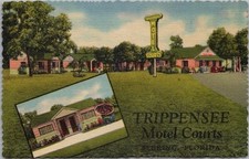 Sebring florida postcard for sale  Burnsville