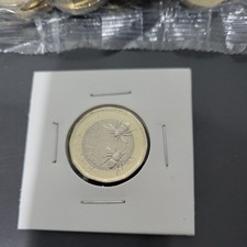 2023 one pound for sale  COCKERMOUTH