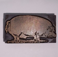 Hog pig sow for sale  Columbia City