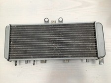 Kühler triumph speed gebraucht kaufen  Erkelenz