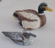 Pair ducks birds for sale  IPSWICH