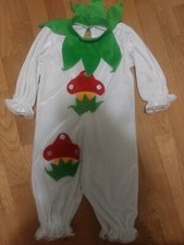 Vestito carnevale usato  Latisana