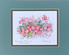 Carole holding bermuda for sale  Mohnton