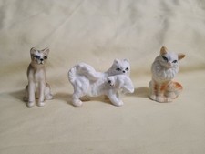 Vintage cat kittens for sale  Jayess