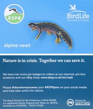 Rspb pin badge for sale  SANDY