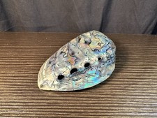Natural abalone sea for sale  Henderson