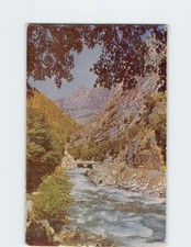 Postcard kings river for sale  Stevens Point