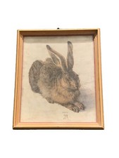 durer hase gebraucht kaufen  Hannover