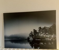 Tableau ikea pjatteryd d'occasion  Lyon VI