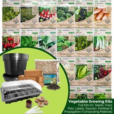 Real vegetable growing for sale  MORECAMBE