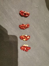 Rote walnuss ganz gebraucht kaufen  Köln