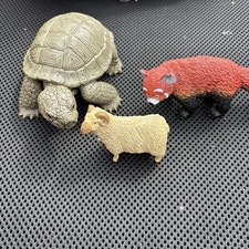 Aaa tortoise lamb for sale  RAYLEIGH