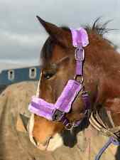 Star shiny headcollar for sale  LEEDS