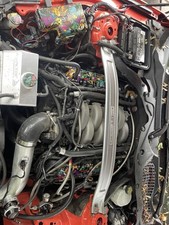 Mustang coyote id1300 for sale  Fitchburg