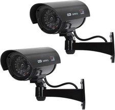 Doduos 2pcs fake for sale Doduos 2pcs fake for sale  OAKHAM