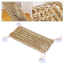 Reptile hammock lizard for sale  TAMWORTH