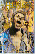 Hellblazer 69 gebraucht kaufen  Lichtenau