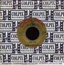 HEAR- Rare Ronnie & The Relatives 45- I Want A Boy- Ronnie Spector- Colpix # 601 segunda mano  Embacar hacia Argentina