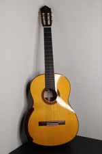 guitarra profissional comprar usado guitarra profissional comprar usado Enviando para Brazil