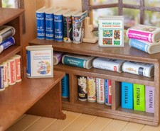 Sylvanian books miniature for sale  KINGTON