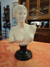 Elegante busto venere usato  Possagno