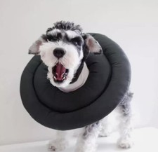 Schutzkragen hund katze gebraucht kaufen  Geilenkirchen