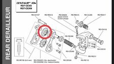 Campagnolo rear derailleur for sale  NEWTON ABBOT