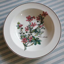 Botanica salatschale malva gebraucht kaufen  Überherrn