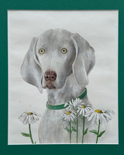 Weimaraner dog original for sale  Hempstead