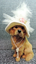 Golden retriever dressed for sale  Mount Prospect