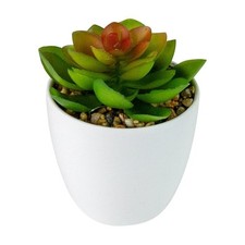 Northlight mini white for sale  Middleton