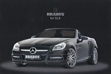 Mercedes slk r172 gebraucht kaufen  Kassel