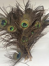 Lote de plumas de pavo real vintage para florero o exhibición MCM decoración retro segunda mano  Embacar hacia Mexico