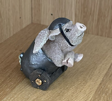 Pigs might fly for sale  SWINDON