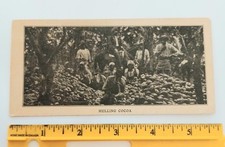 Hulling cocoa rockwoods d'occasion  Expédié en Belgium