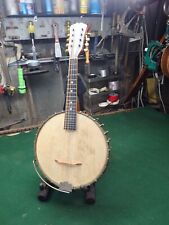 Vintage nice banjo for sale  Buffalo