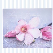 Spa küche flowers gebraucht kaufen  Wehr