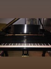 Piano player Steinway B 1980 WIFI. Temos mais modelos B atrasados no eBay, usado comprar usado  Enviando para Brazil