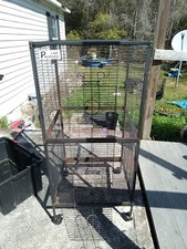 Used ferret rat for sale  Waldo