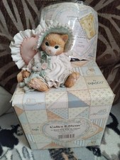 Calico kittens warm for sale Calico kittens warm for sale  WALLASEY